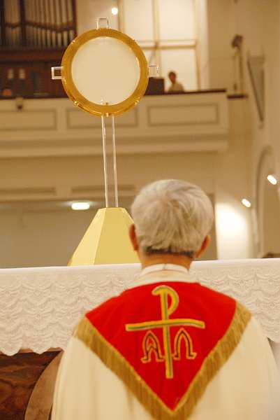 DSC (368)